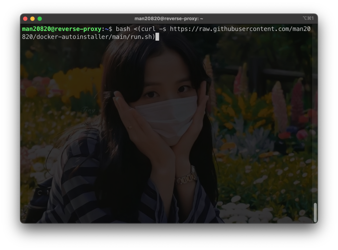 Nginx as a docker reverse proxy tkjpedia