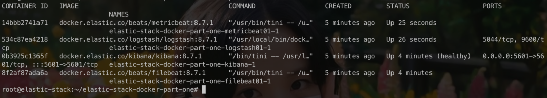 Install Elastic ELK Stack on Docker Container | TKJPedia