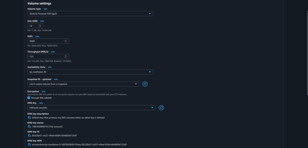 Taming the Cloud Bill: A Guide to Downsizing Your AWS EC2 Root EBS ...