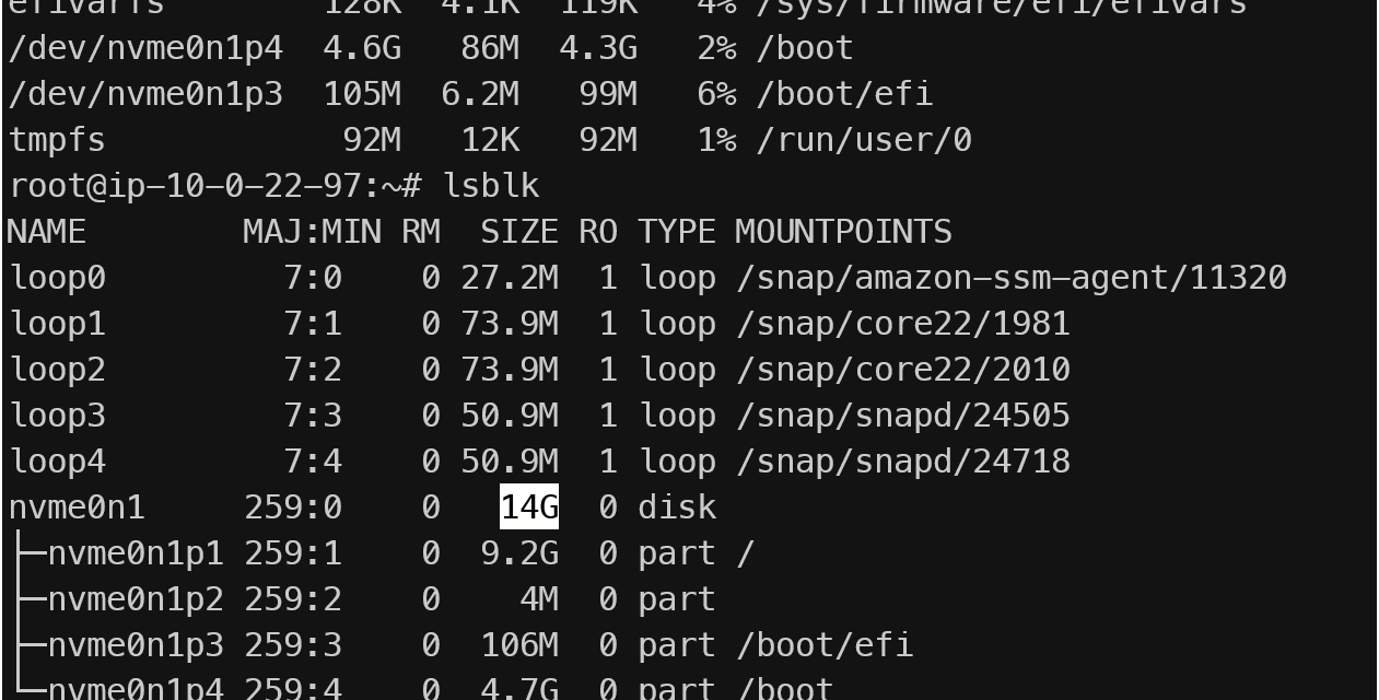 Taming the Cloud Bill: A Guide to Downsizing Your AWS EC2 Root EBS Volume
