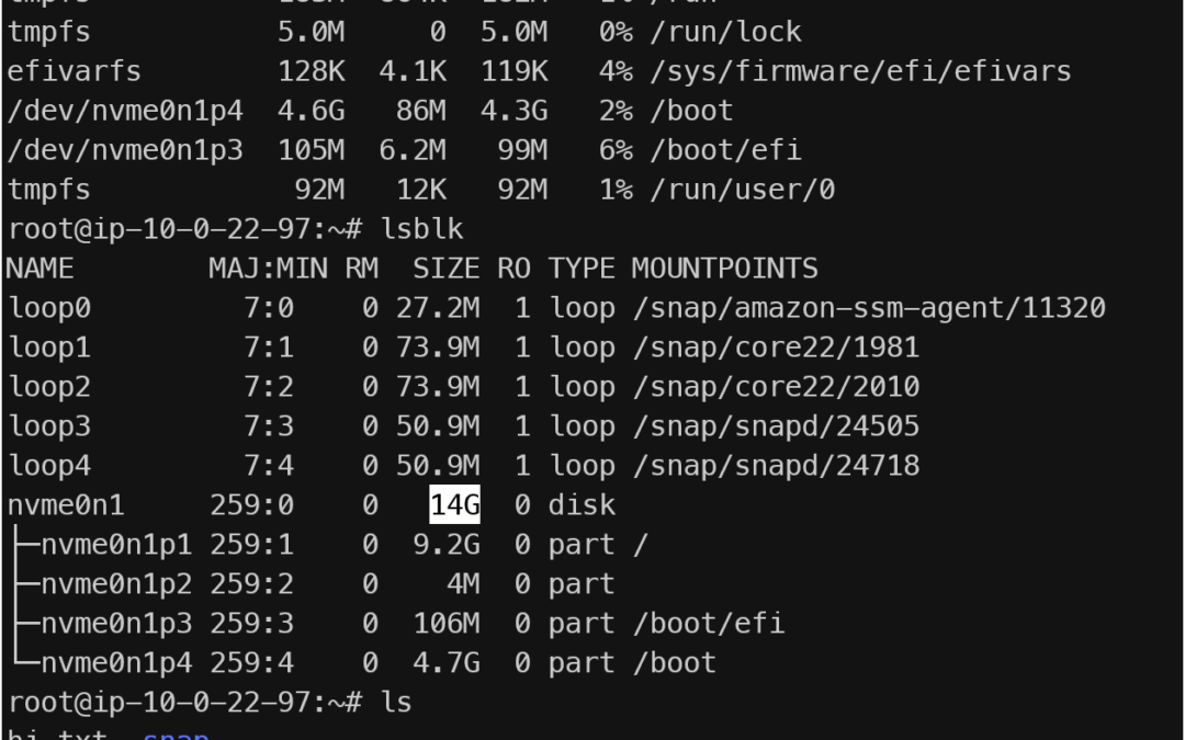 Taming the Cloud Bill: A Guide to Downsizing Your AWS EC2 Root EBS Volume