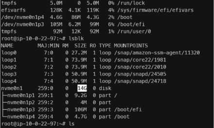 Taming the Cloud Bill: A Guide to Downsizing Your AWS EC2 Root EBS Volume